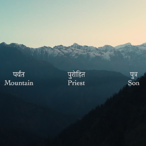 Parvat, Purohit, Putra (Mountain, Priest, Son)